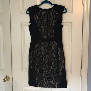 Adrianna Papell cocktail dress
